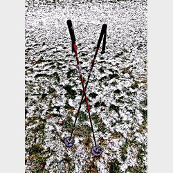 Gamle vintage bambus skistave