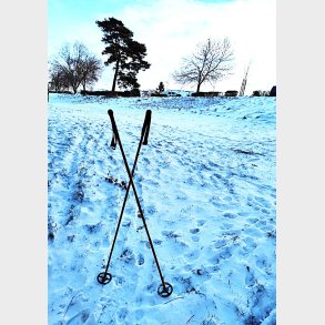 Gamle vintage bambus skistave