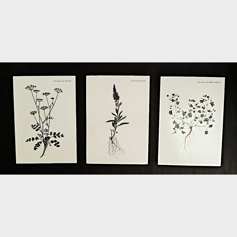 3 stk Flora Danica tryk monteret p� tr�plade