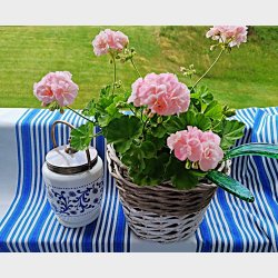Bl�m�nstret vintage kiksespand